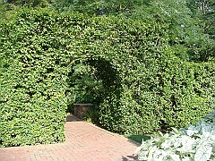 216 Longwood Gardens [2008 August 23]